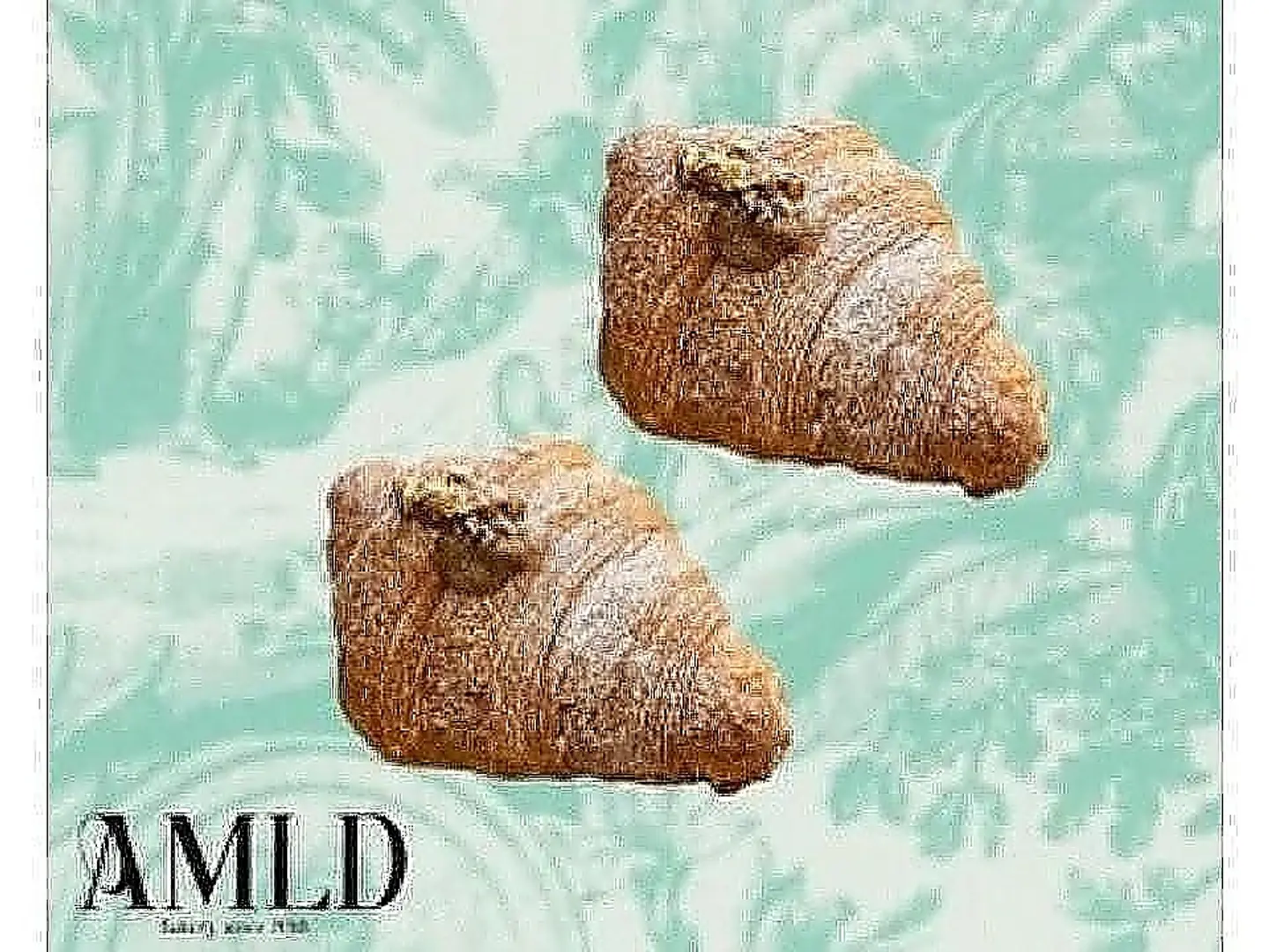 Pecan Croissant