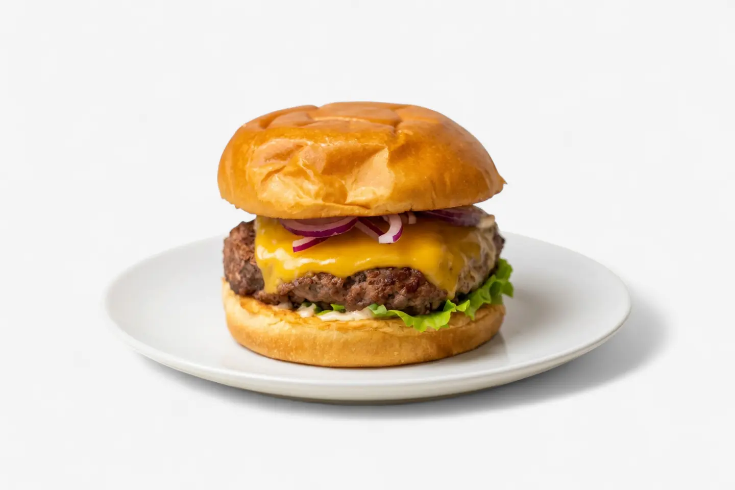 Grilled Beef Burger Sandwich