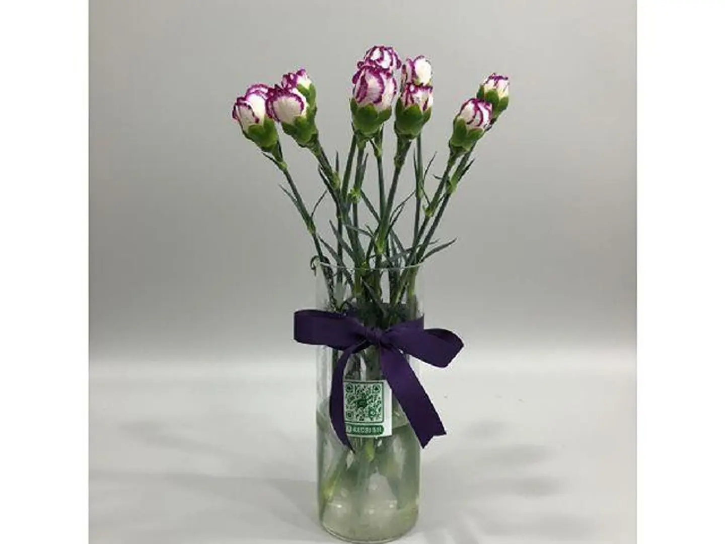 كارنيشن تين دوبل