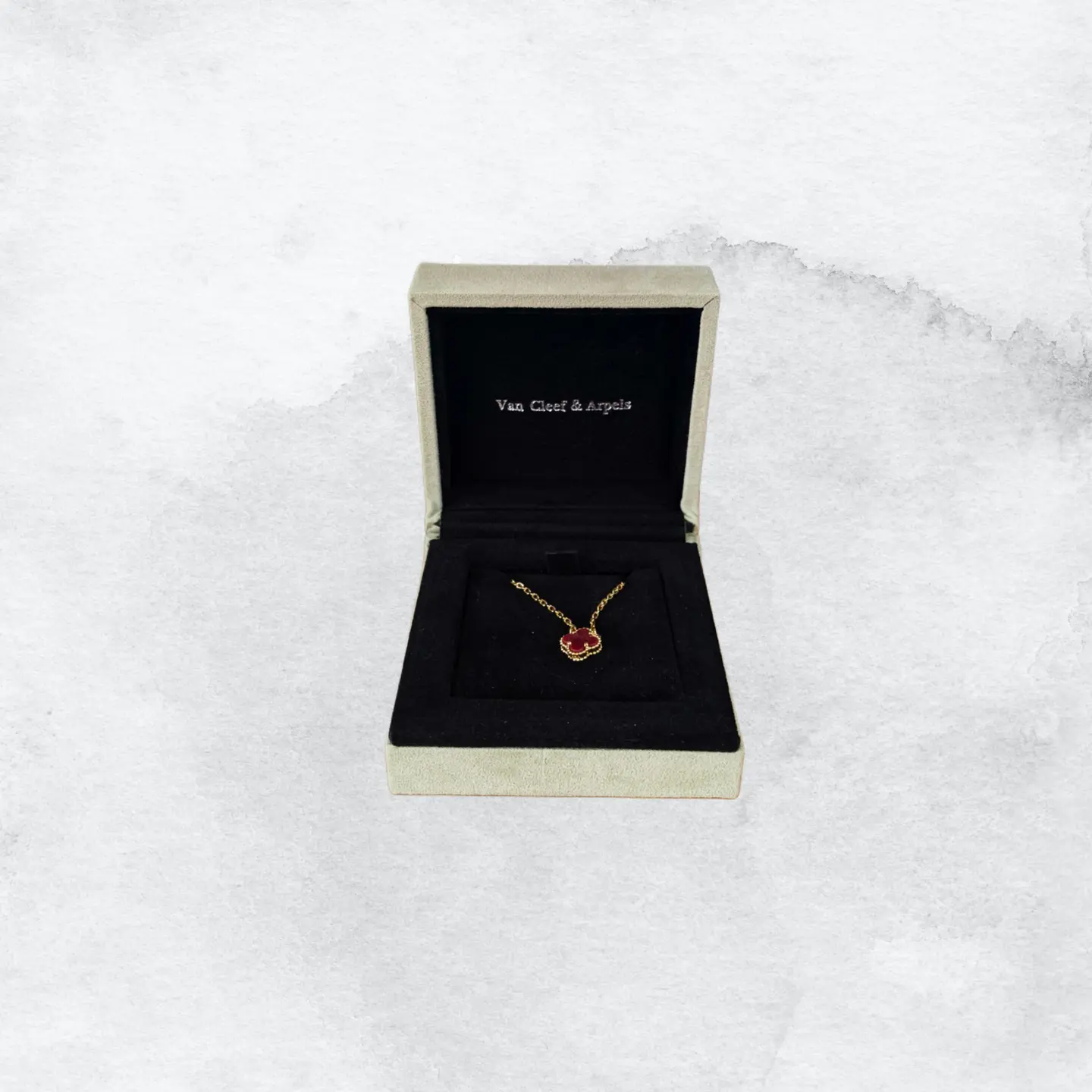 سوار فان كليف (1)