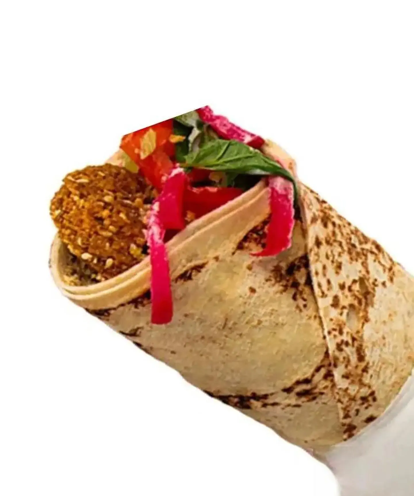 Special Falafel Sandwich