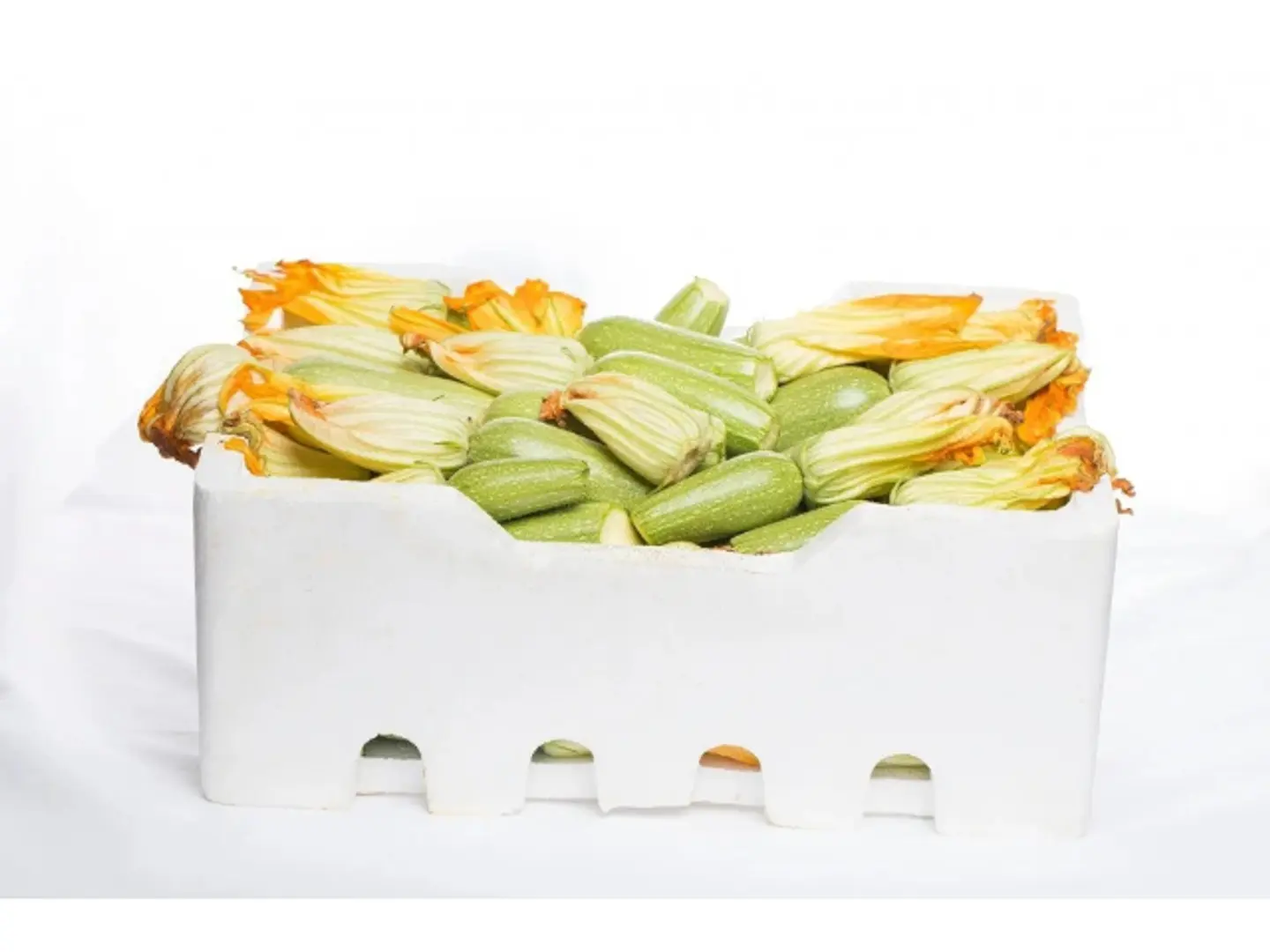 Zucchini Big Box