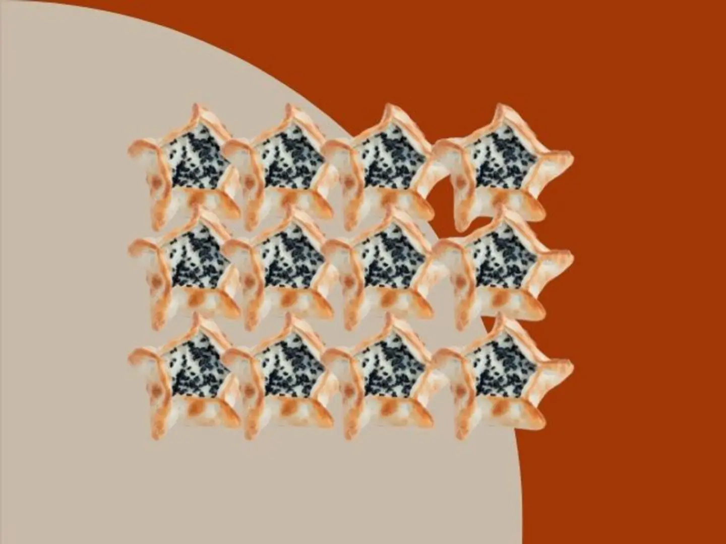 Haloumi Sawari (12 Pieces)