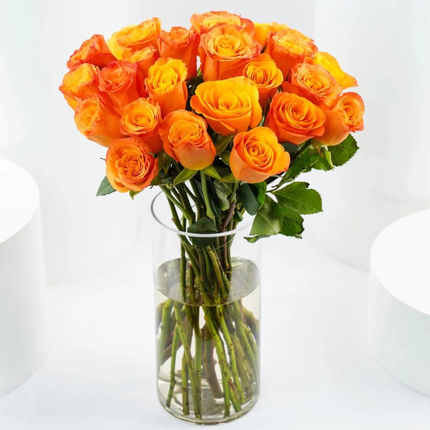 فازة اورنج 01