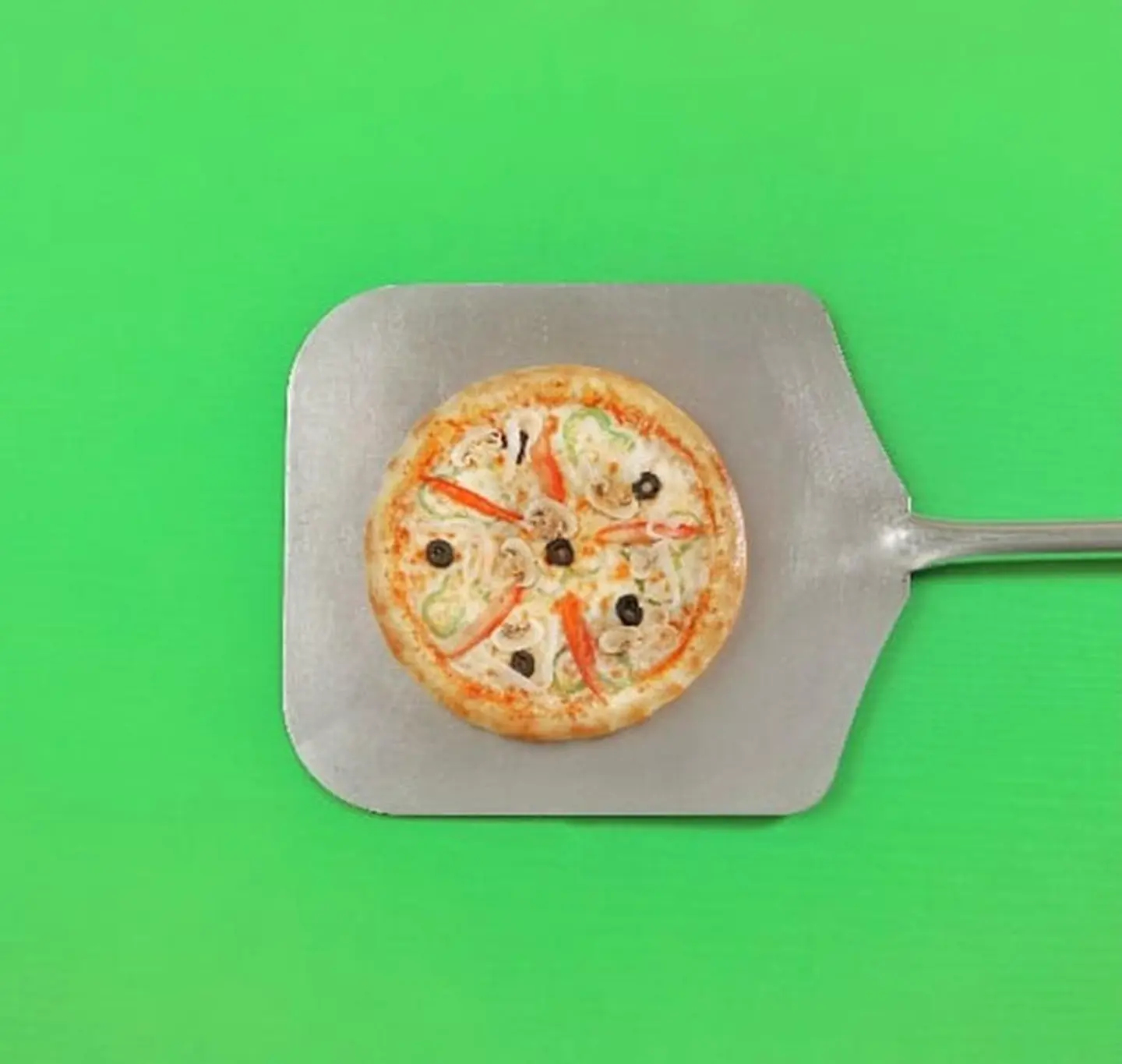 Vegetable Pizza