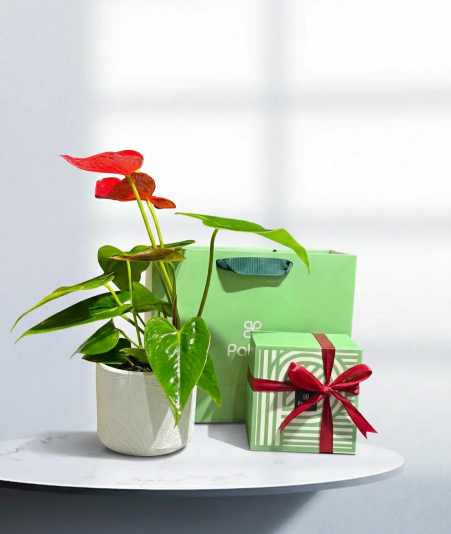 نبته أنثوريوم