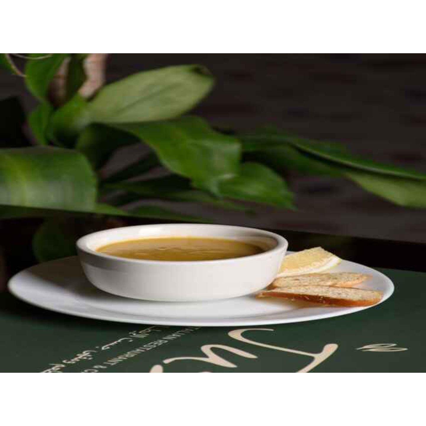 شوربة خضار