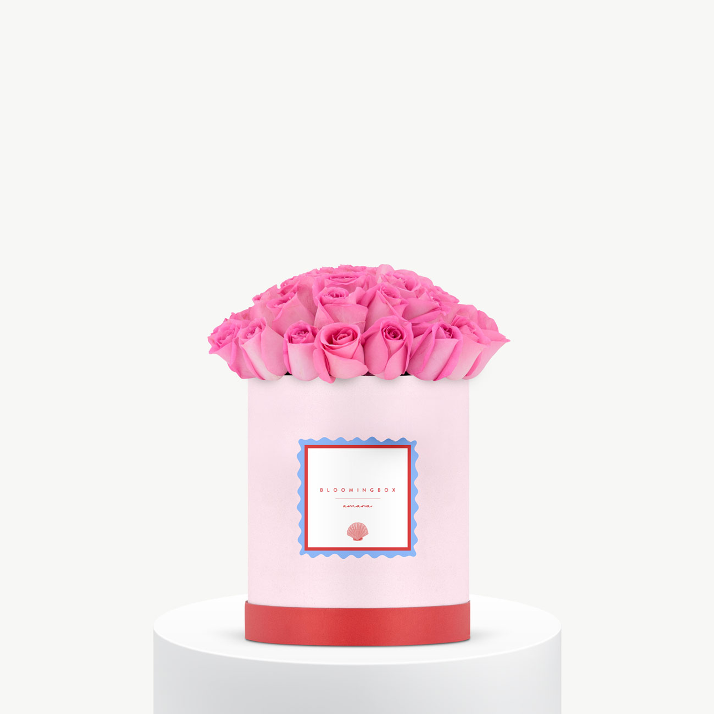 سويت تشيكس روز بوكس