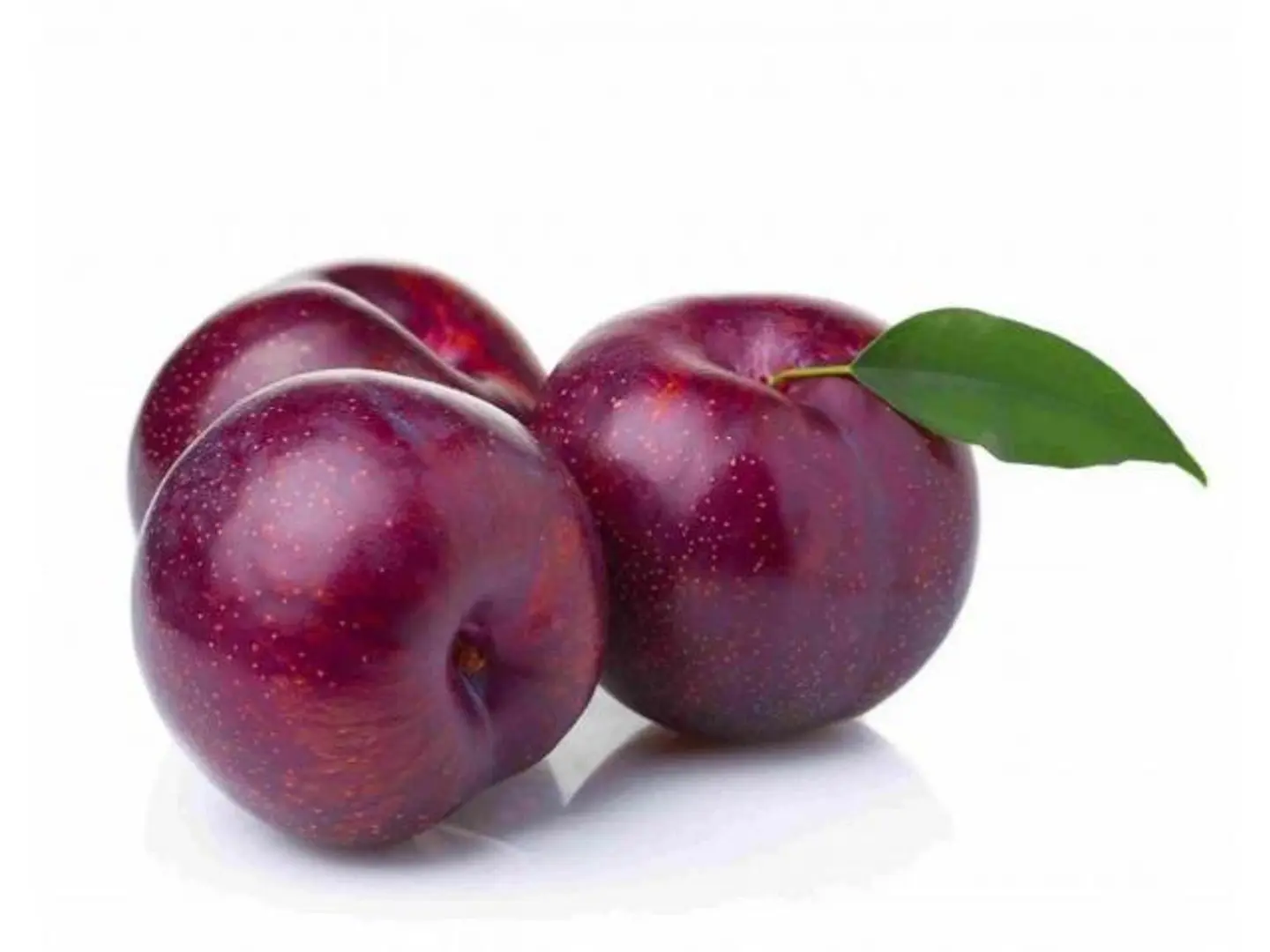 Plum