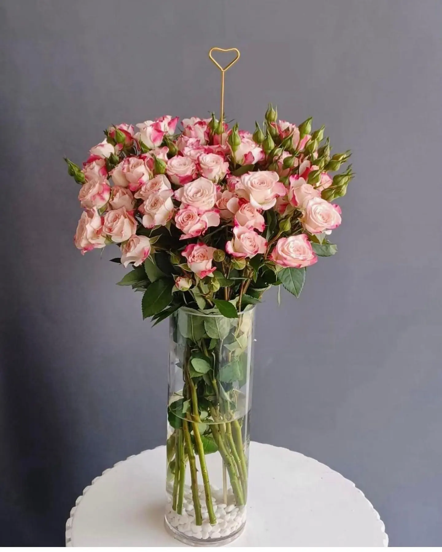 فازه ورد بيبي جوري وردي