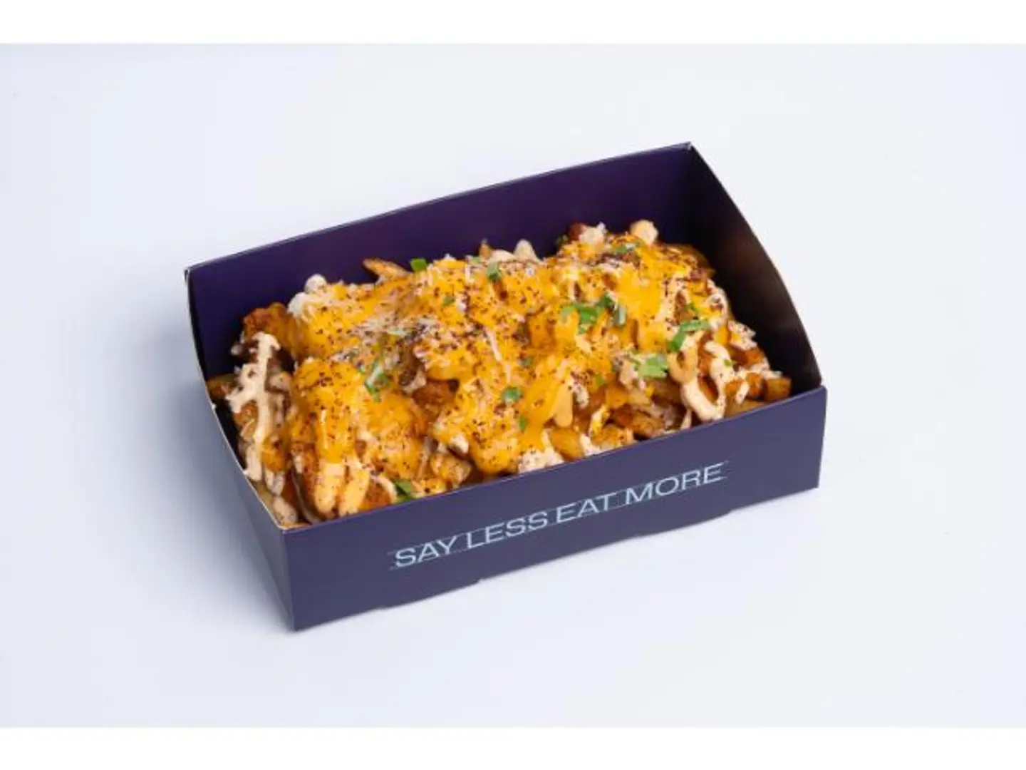 Tandoor Loaded Fries