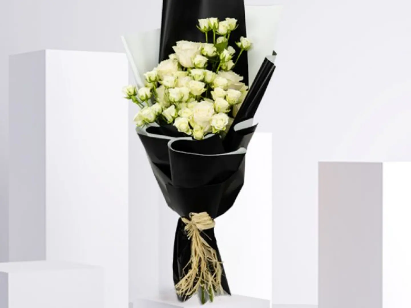 باقة هدوء الليل