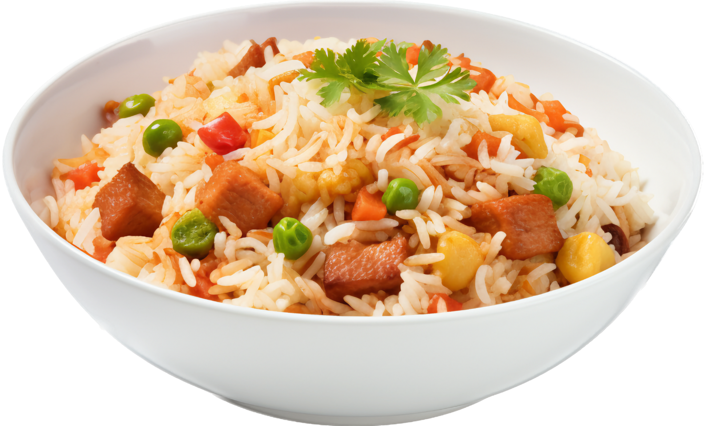 Fried Rice Chicken