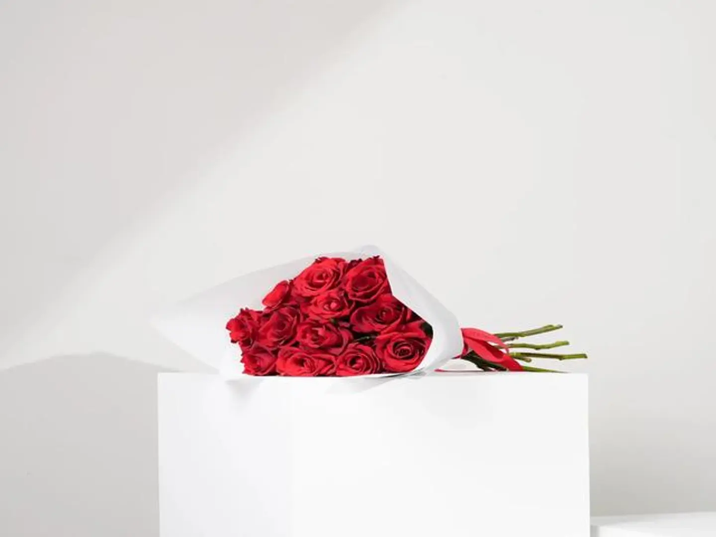 باقة الحب 12