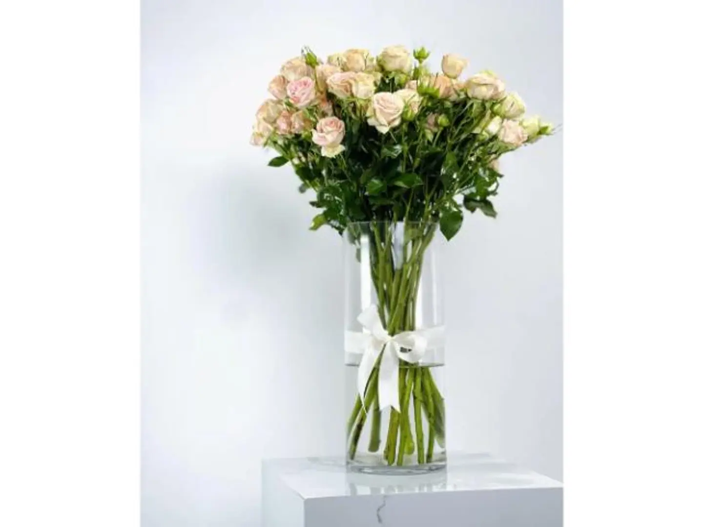 فازة بيبي جوري وردي ساحرة