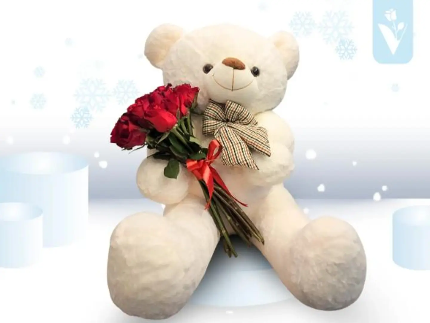 عناق الشتاء