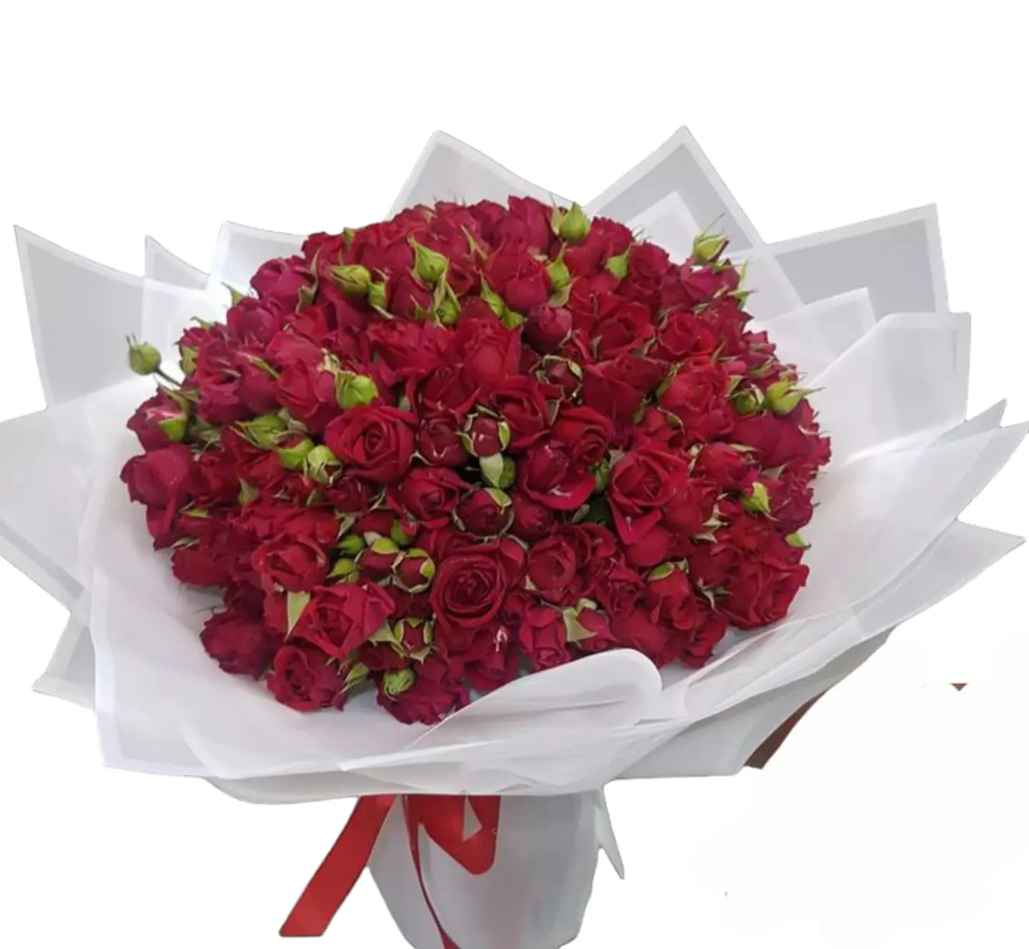 Red Baby Rose Bouquet 71