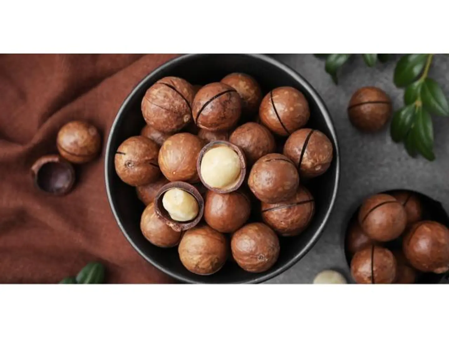 American Macadamia In Shell