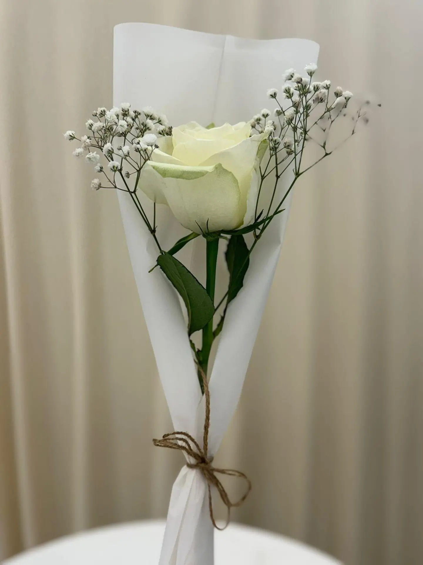 وردة بيضاء مع جبسو