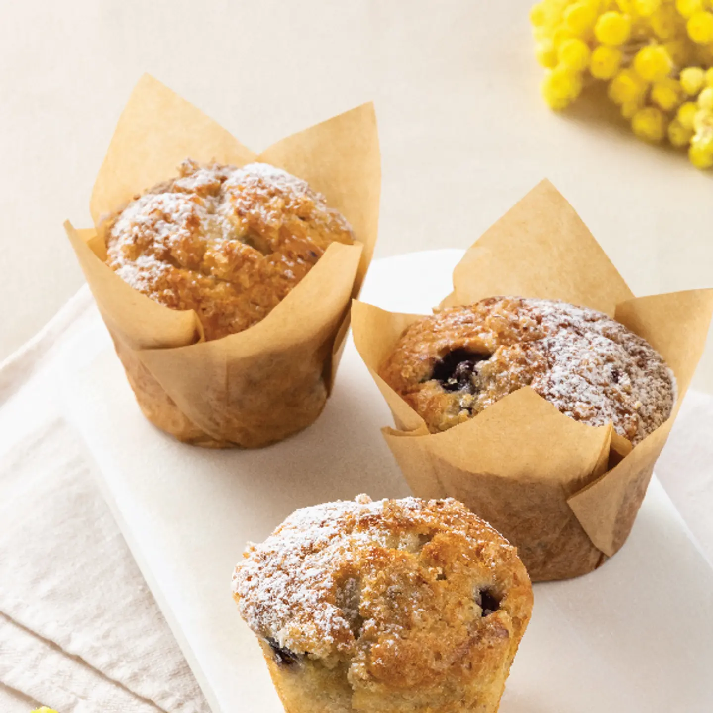Blueberry Muffin