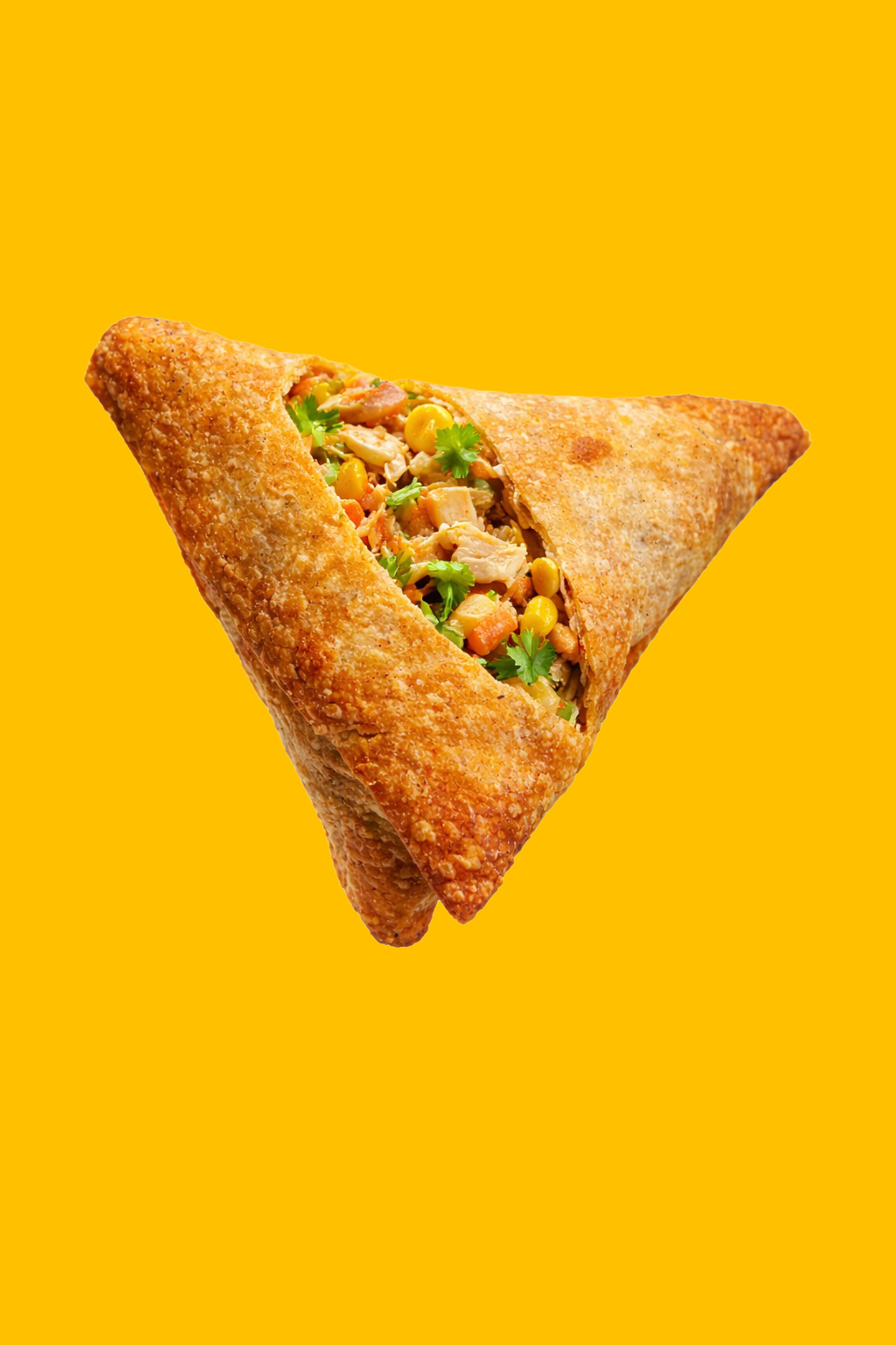 Chicken Samosa 3pc