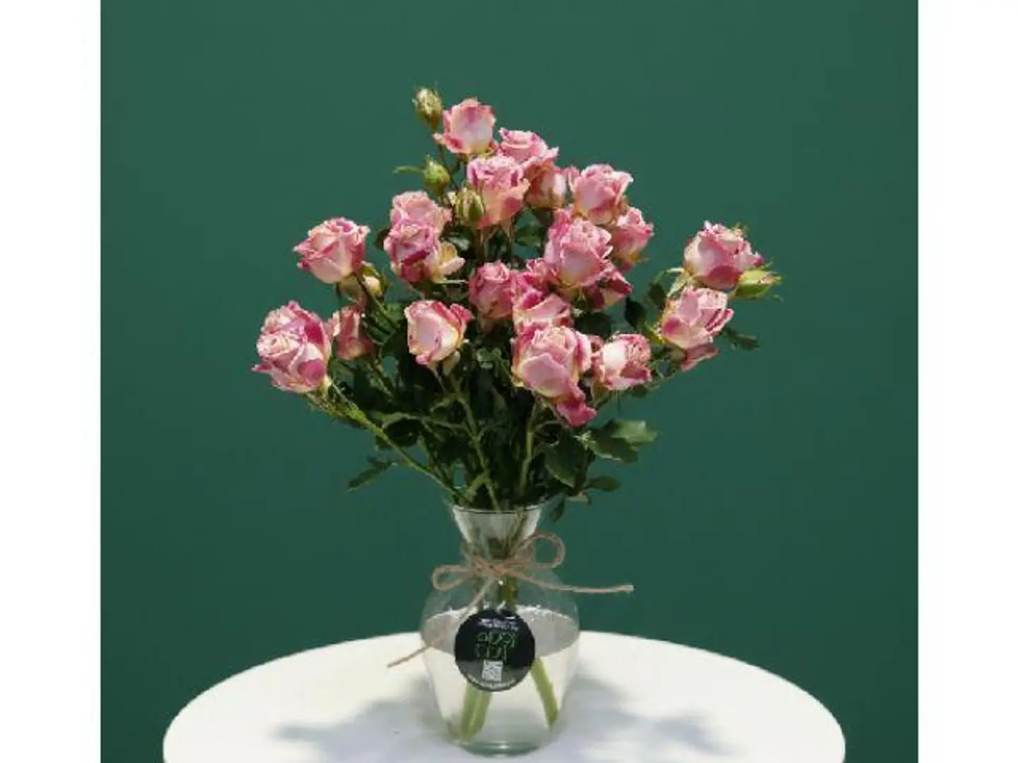 Nice Baby More From 3stem 420