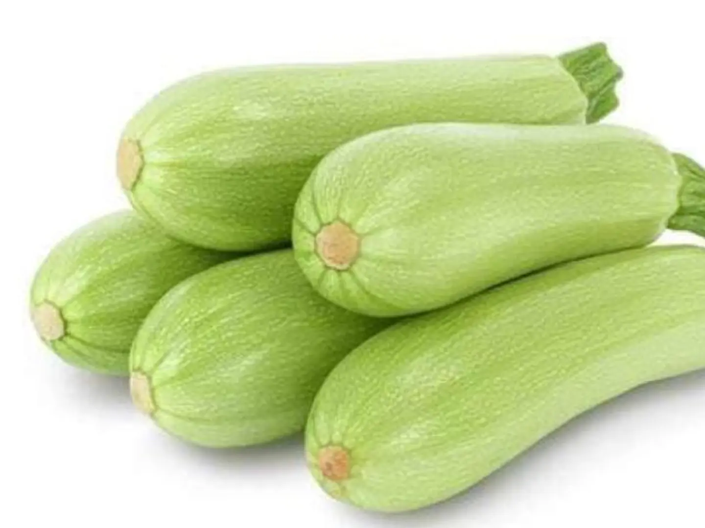 كوسة القصيم