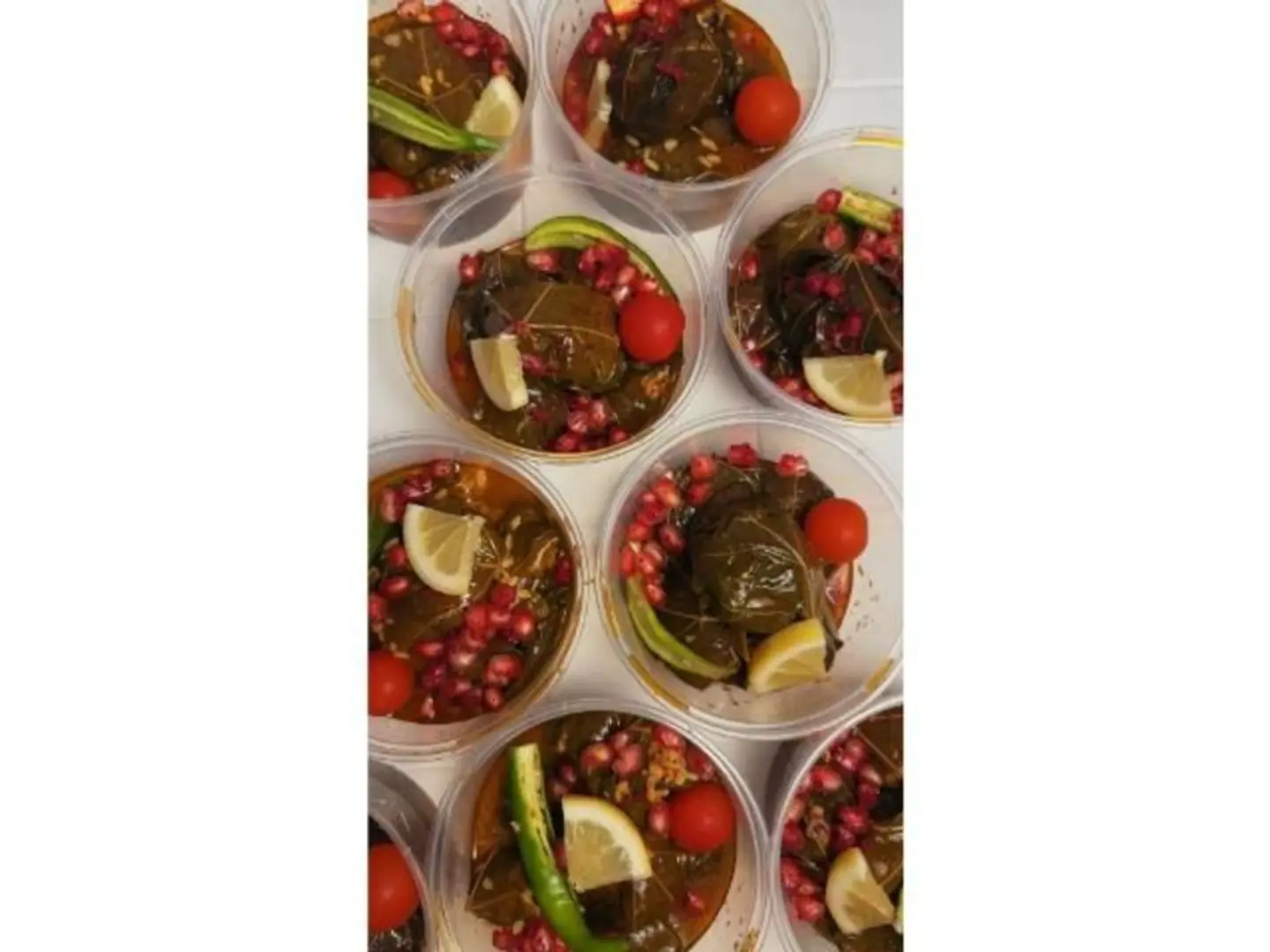 ورق عنب بايتس