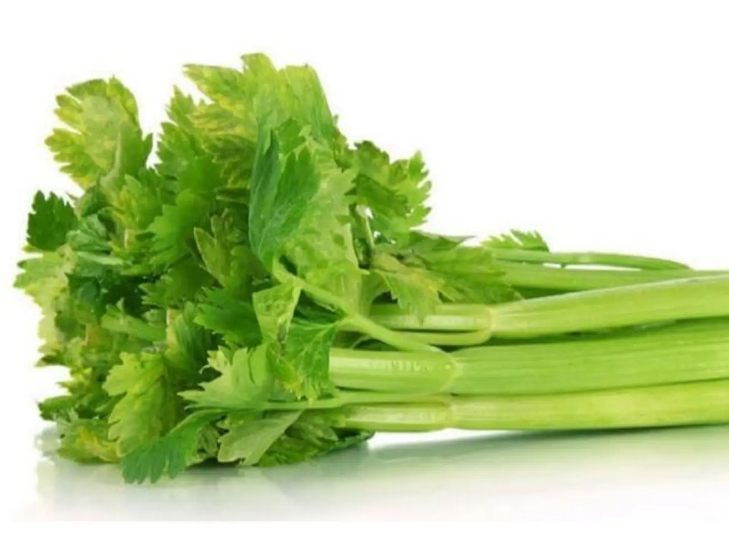 Celery