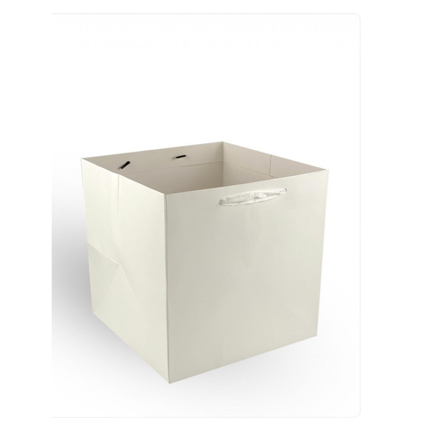 Bag 25*25