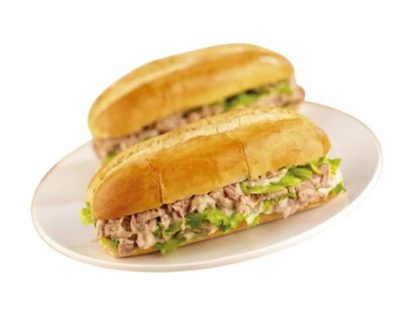 Plain Tuna Sandwich
