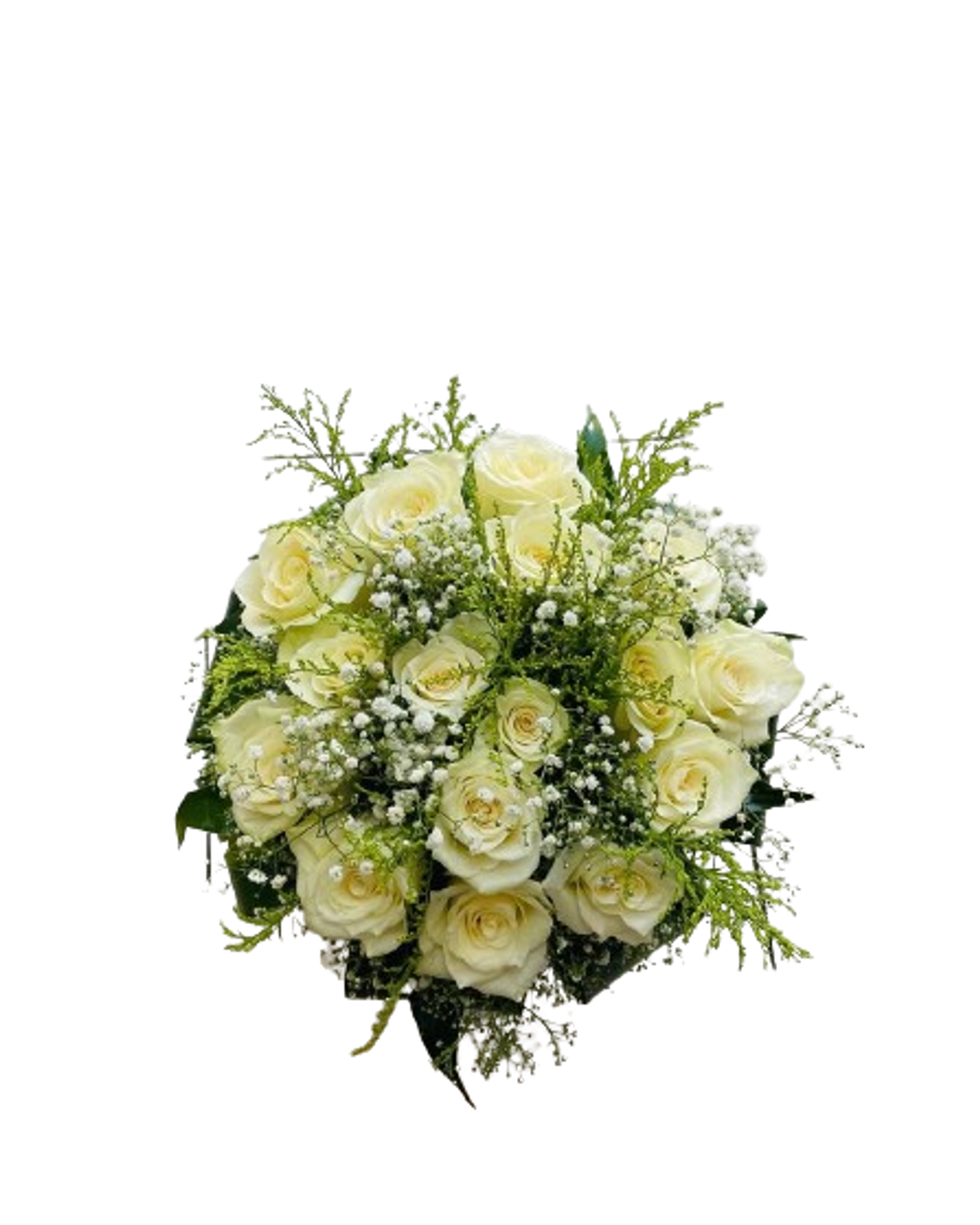 White Rose Vase