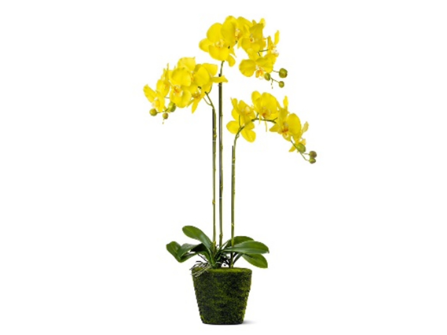 Artificial Orchid Real Touch Yellow