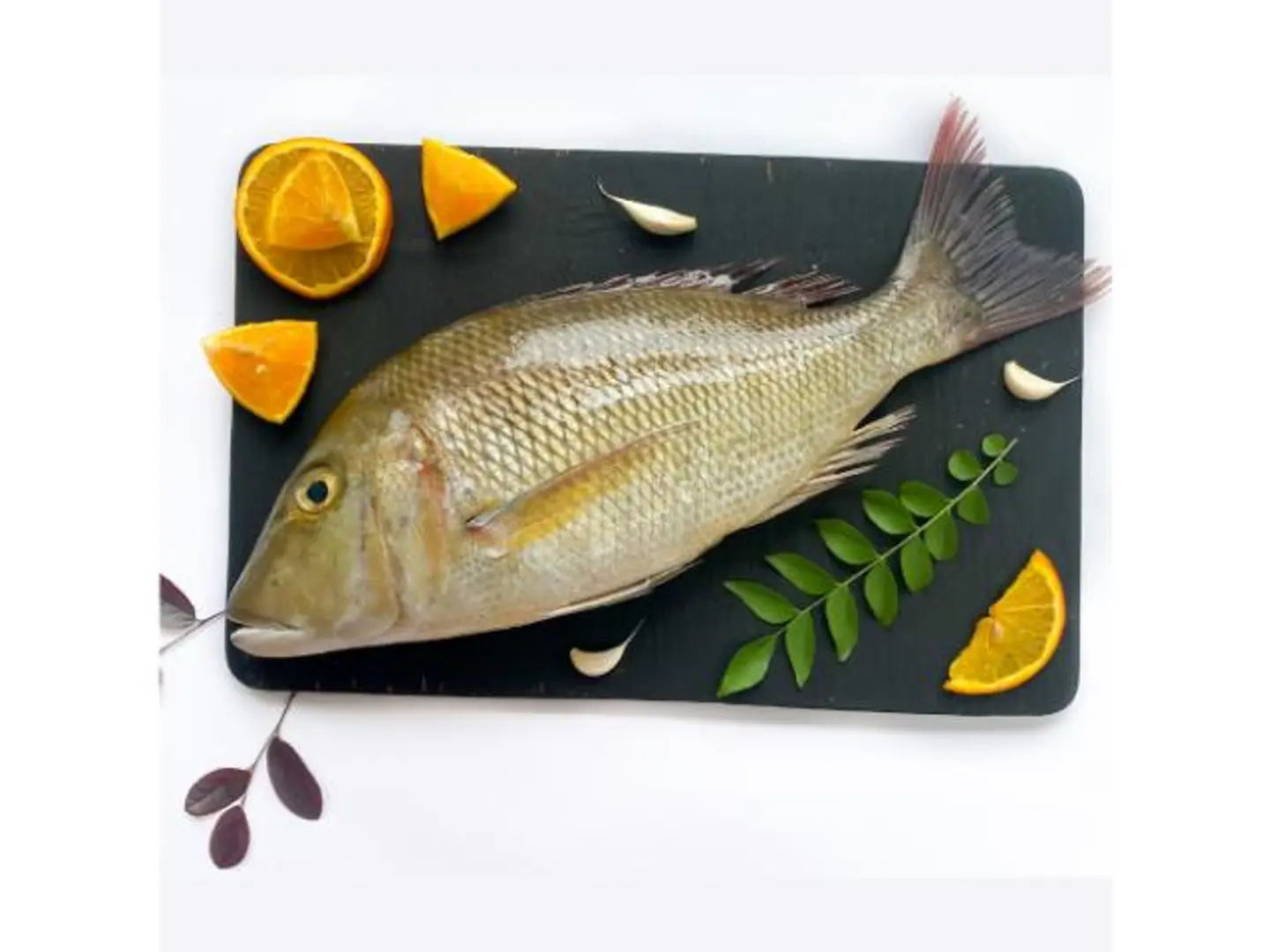 Shaour 500 1000 Grams