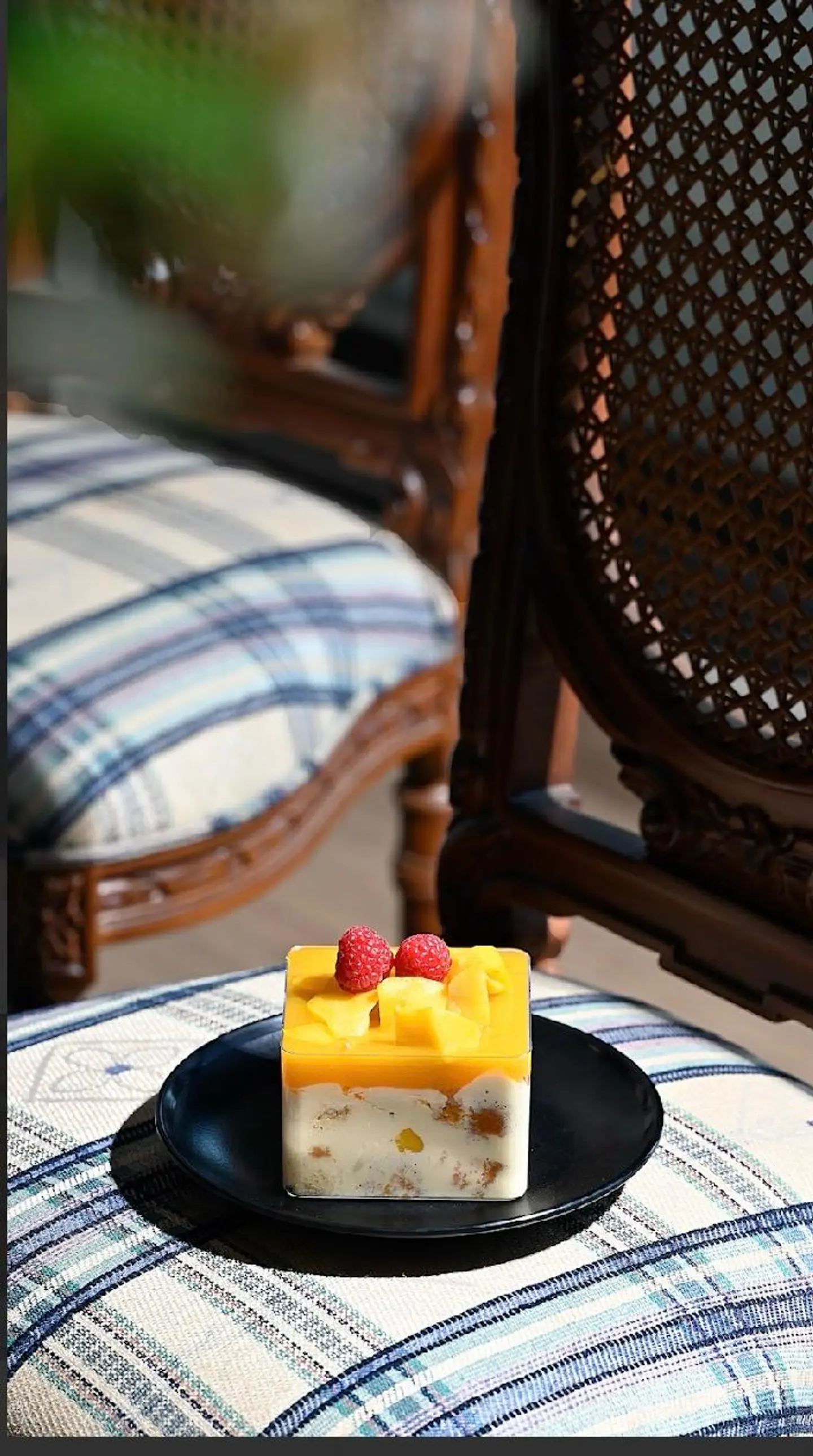 ترافل مانجو