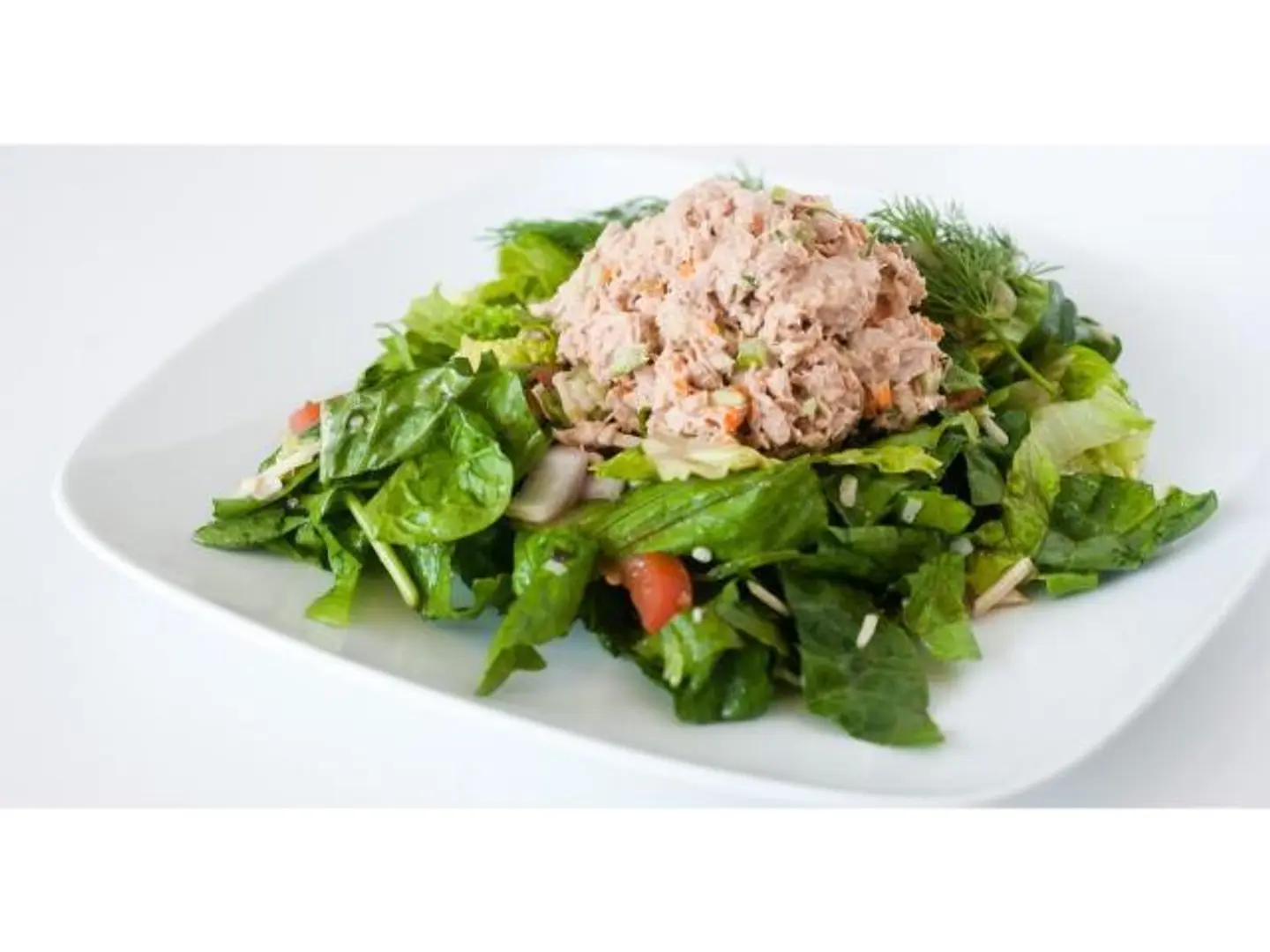 Traditional Tuna Salad