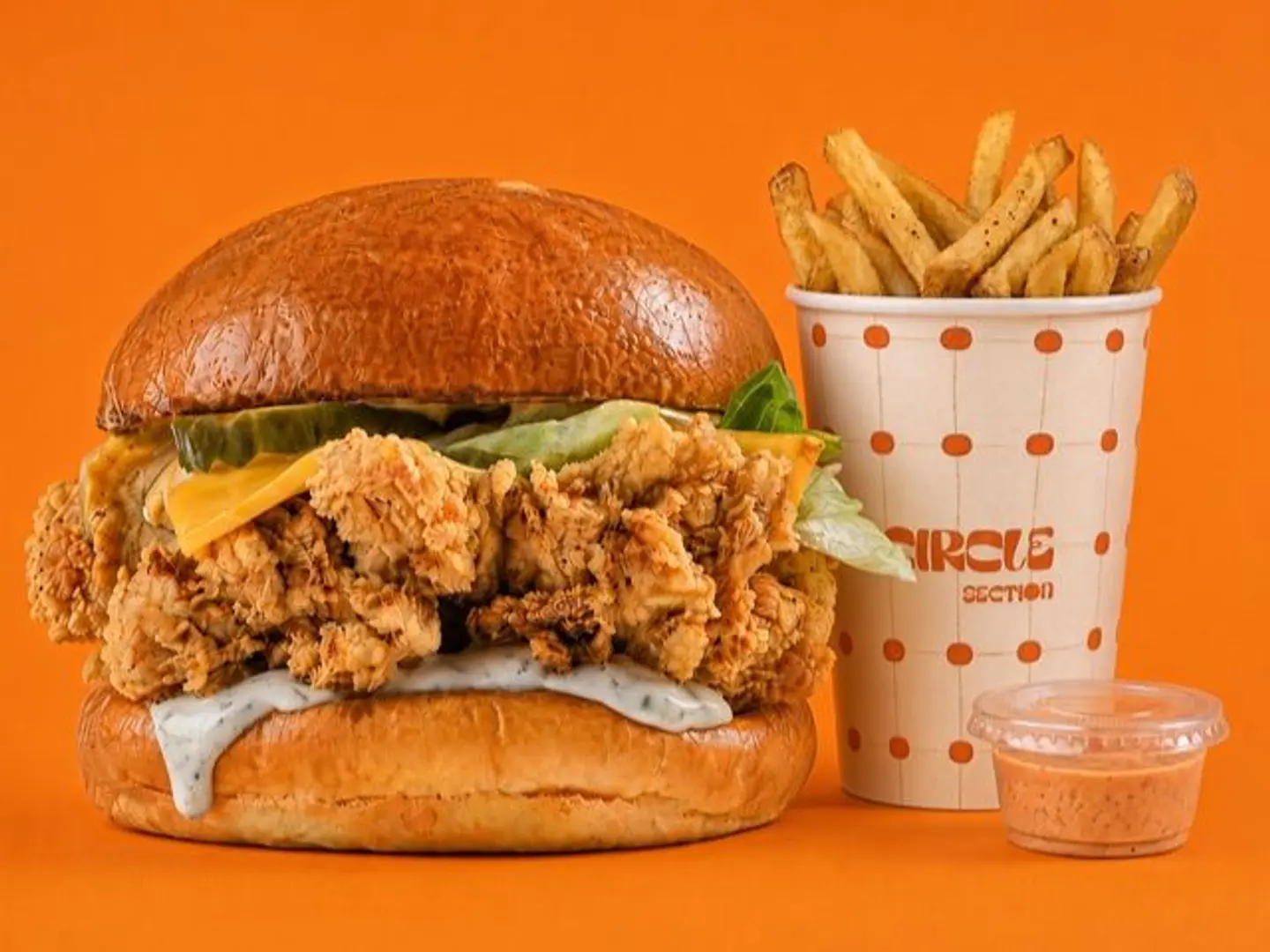 Chicken Burger Fries Sauce