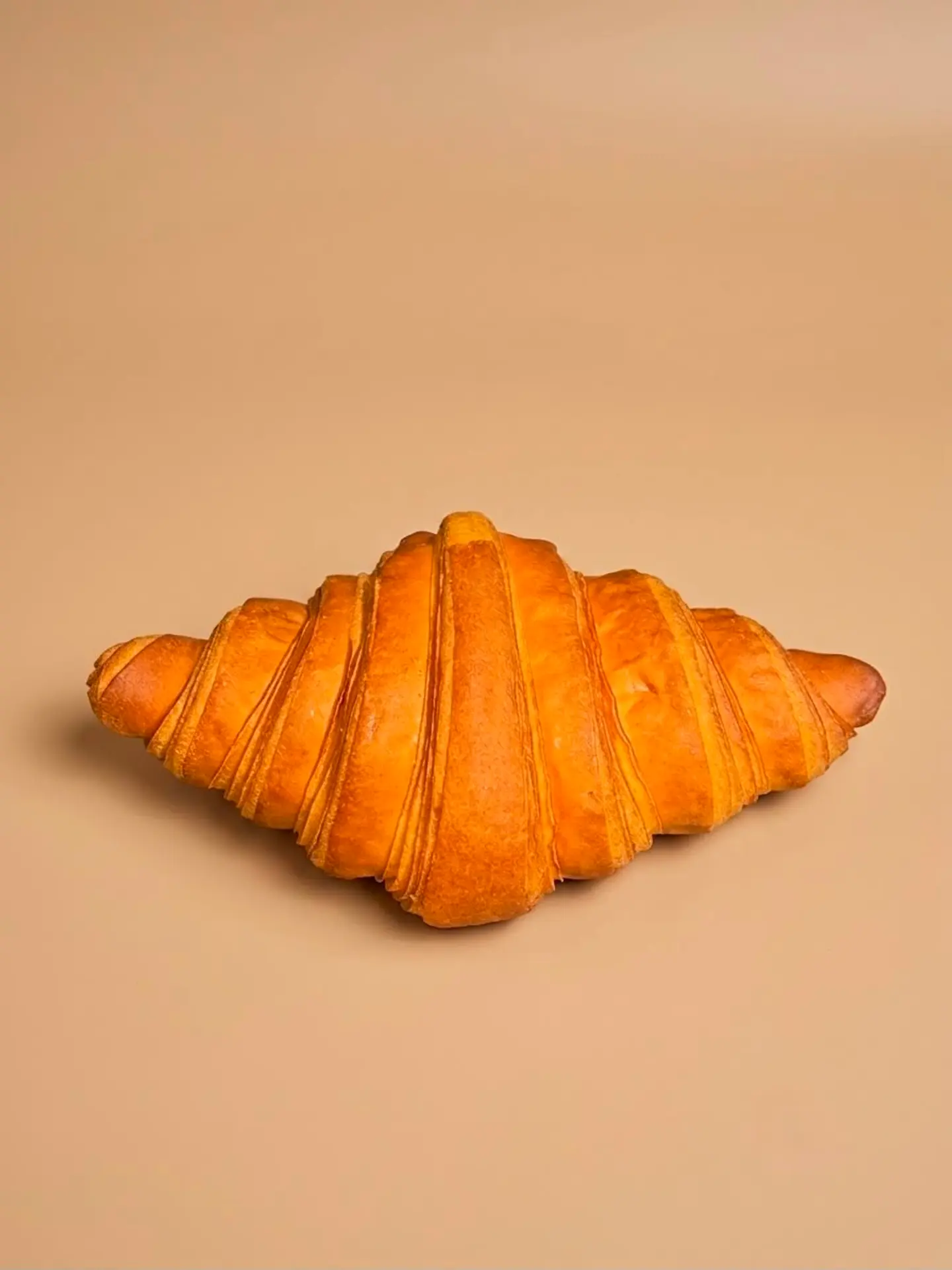 Plain Croissant
