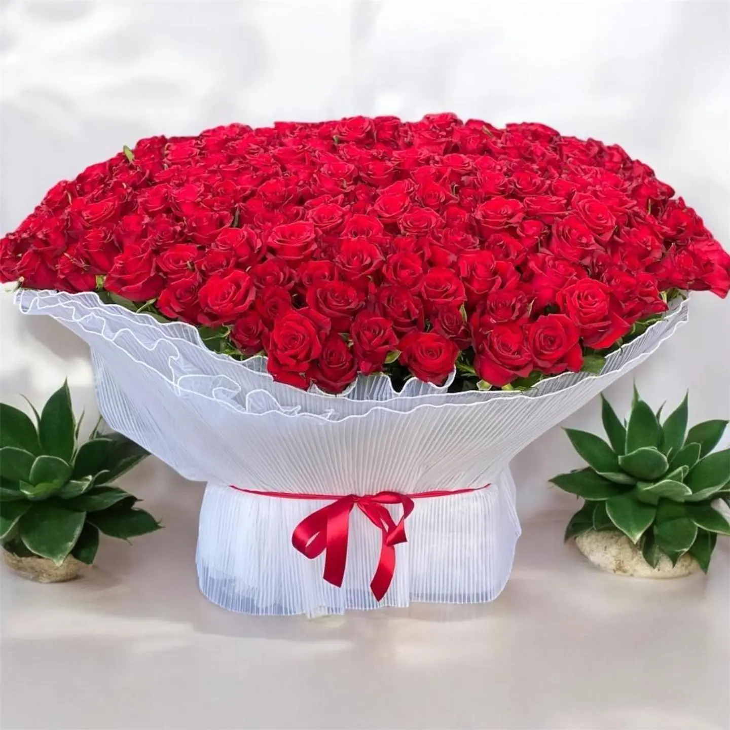 تنسيق ملكي بـ 300 وردة حمراء