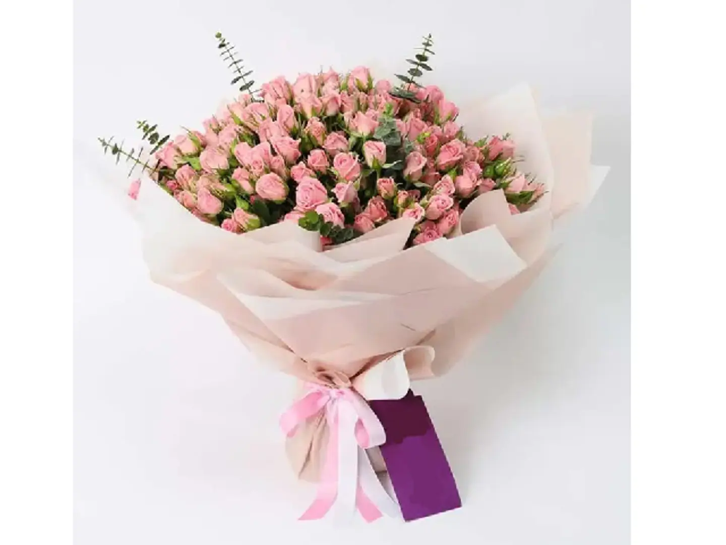 Minerva Beauty 307