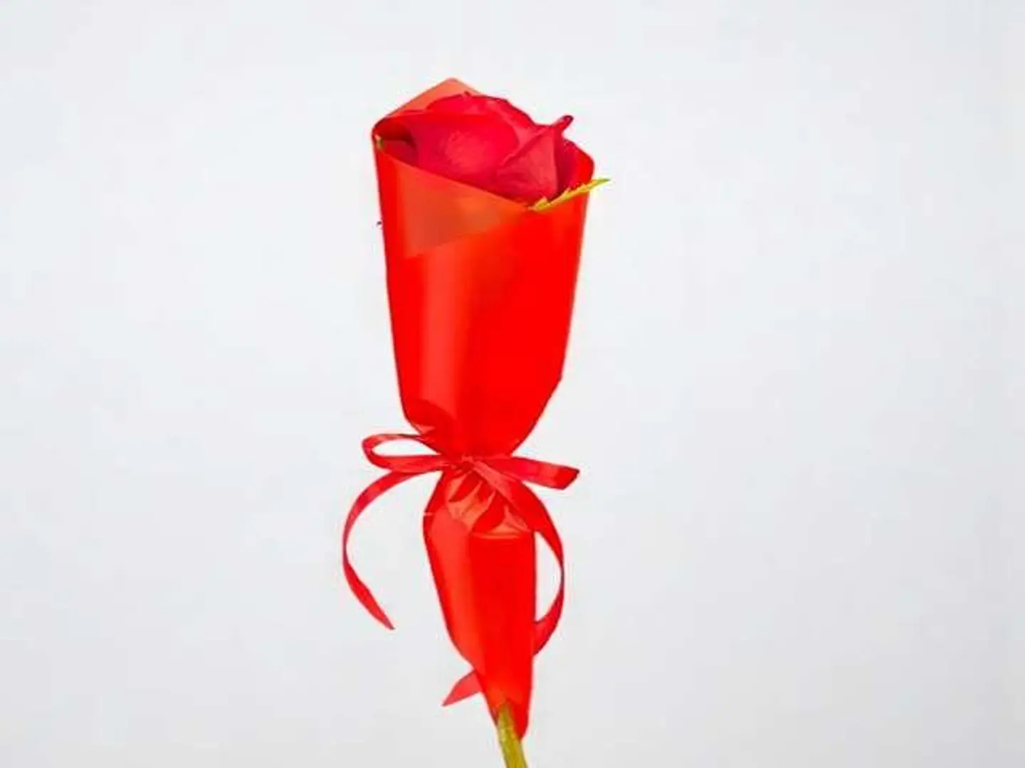 تي زيرو ثري