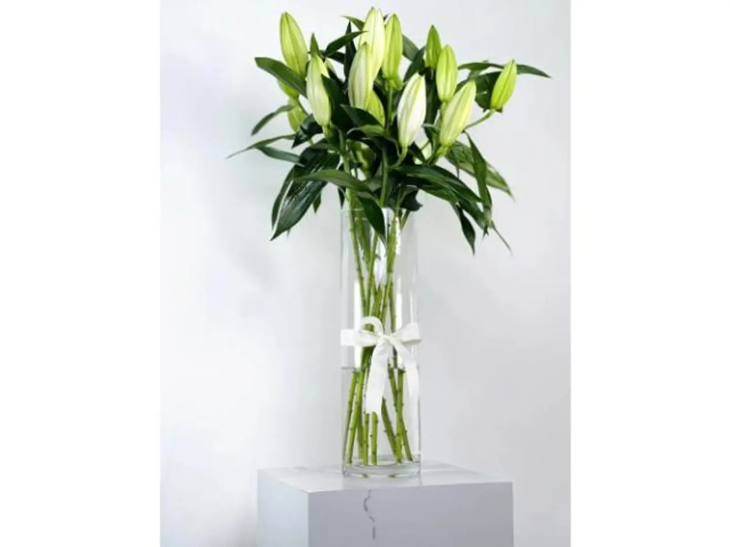 فازة سحر كازبلانكا البيضاء