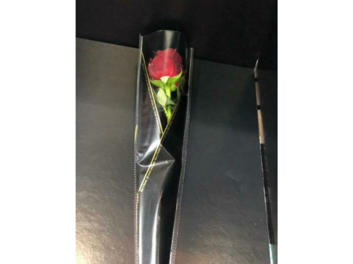 A Single Wrapped Rose