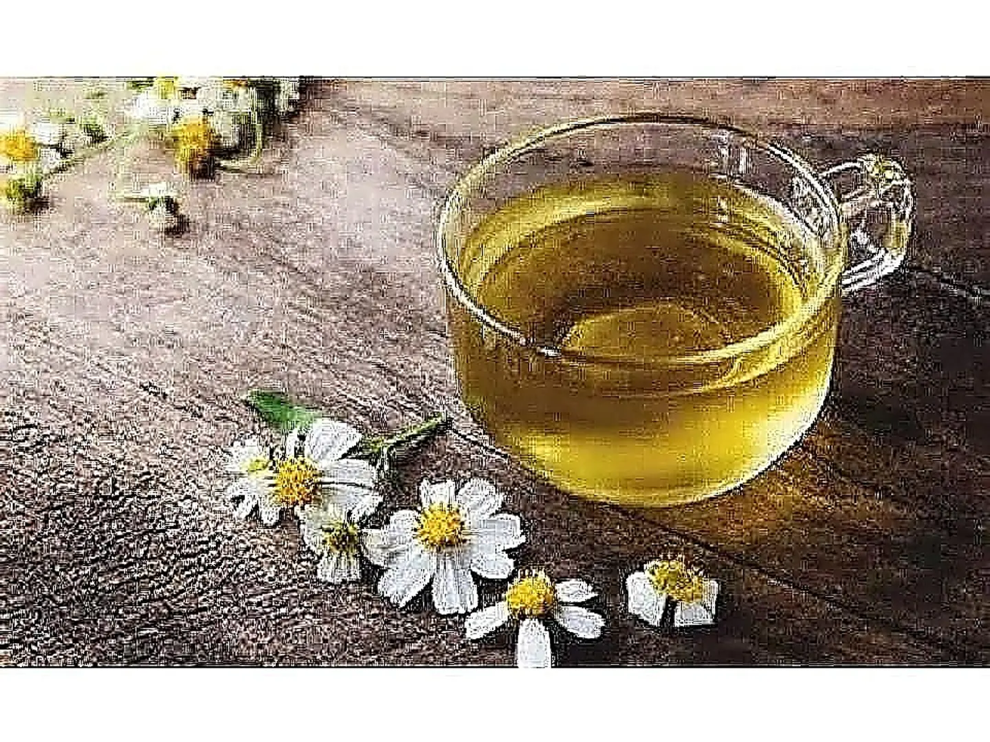 Anise Tea