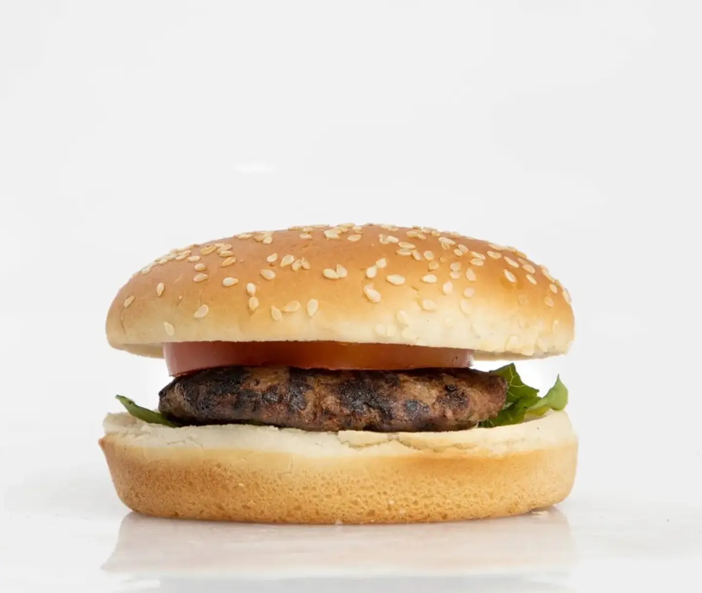 Plain Beef Burger