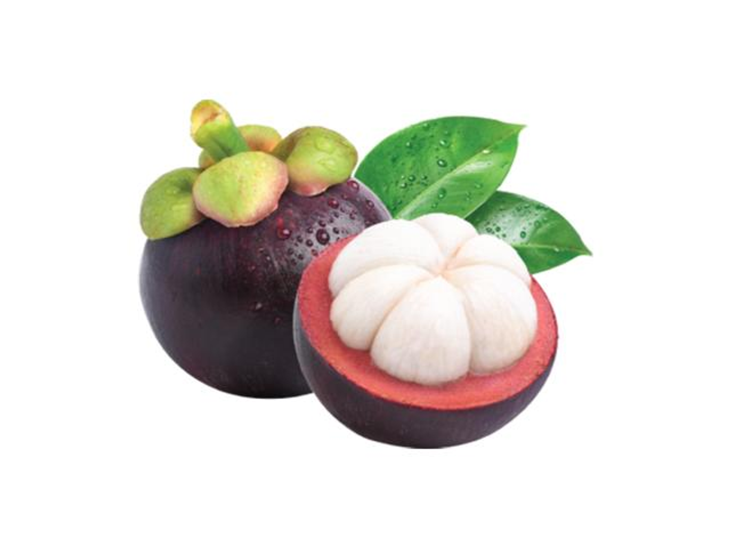 Mangosteen