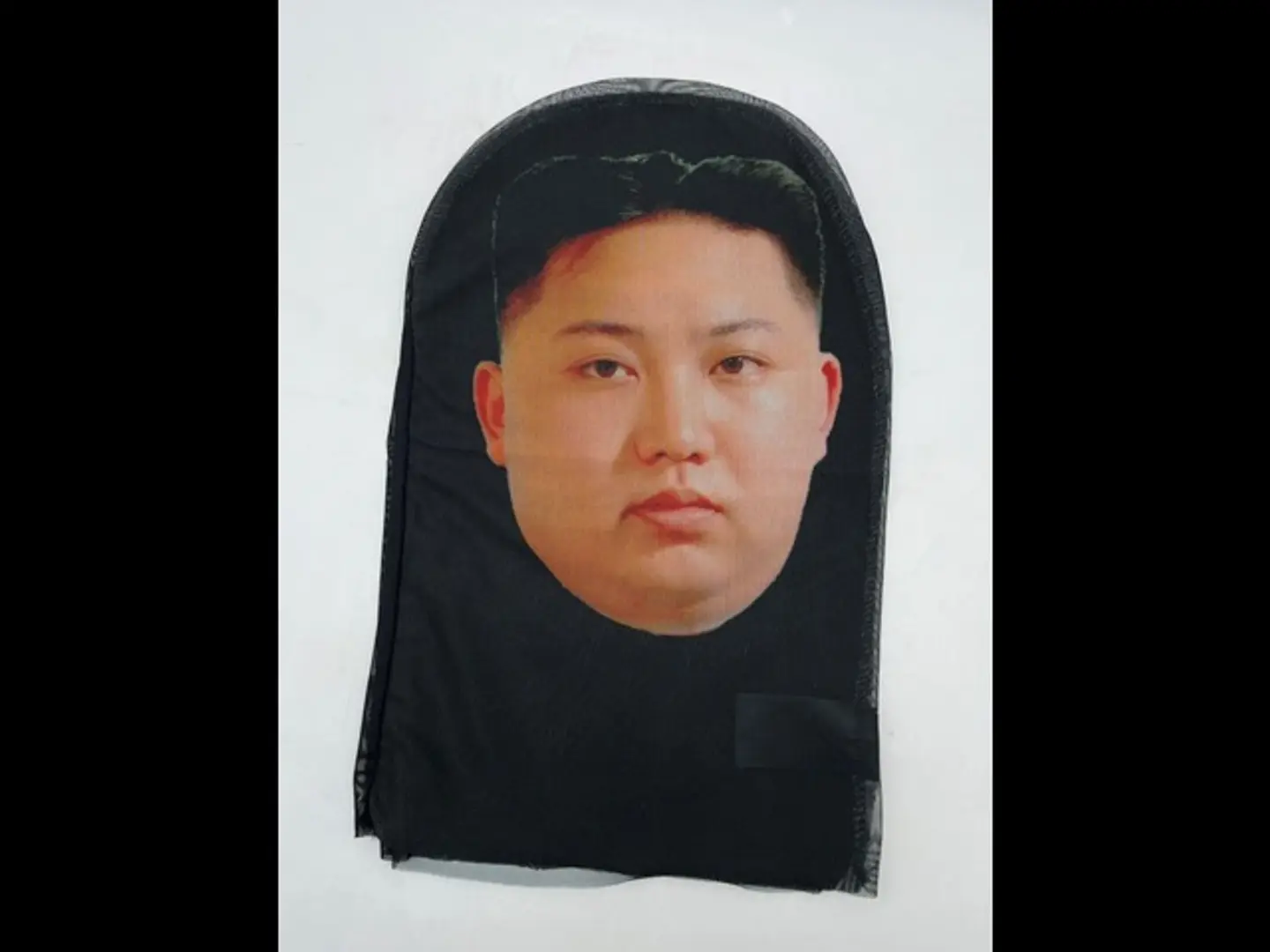 3 D Fabric Masks 0347