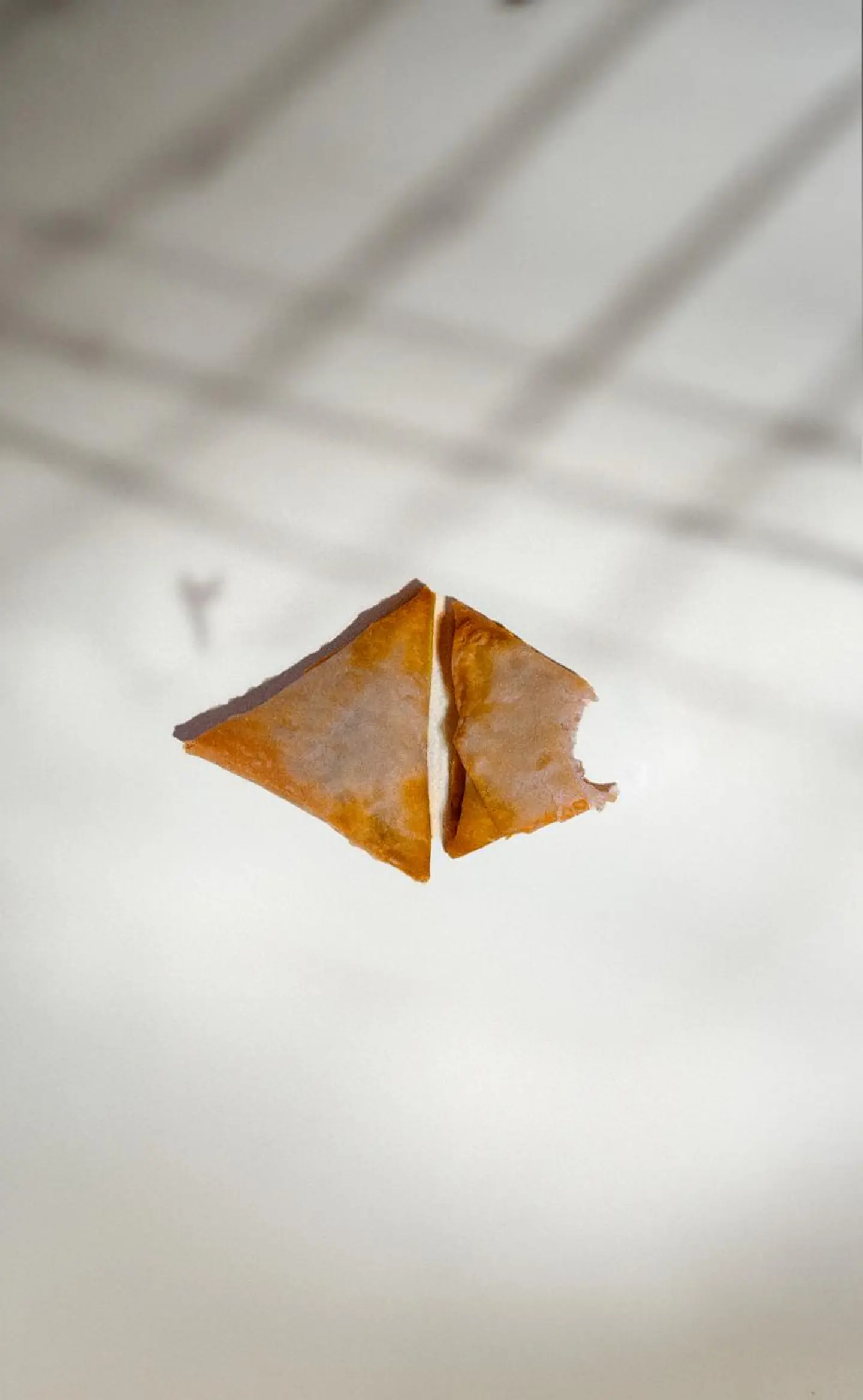 Chicken Samosa With Cheese