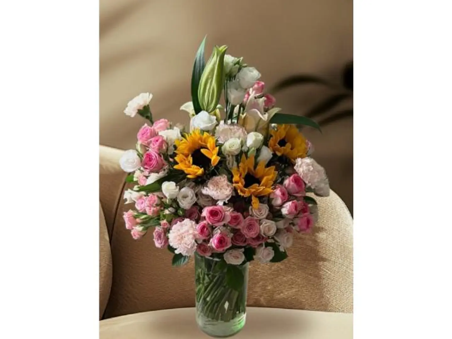 فازه دوار الشمس الراقي والبيبي روز