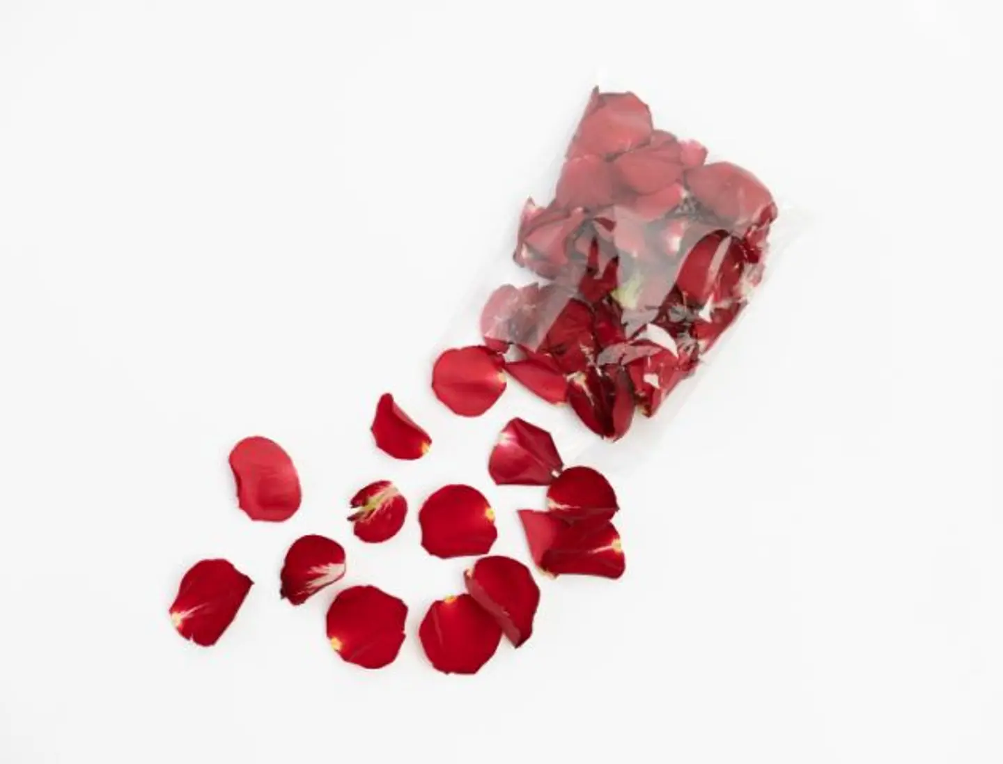 Red Scattered Rose